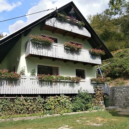 Apartment Zvan Bohinj Cameră foto