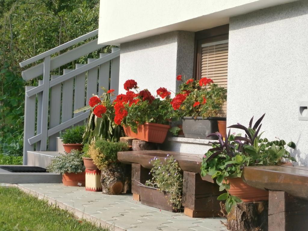 Apartment Zvan Bohinj Cameră foto